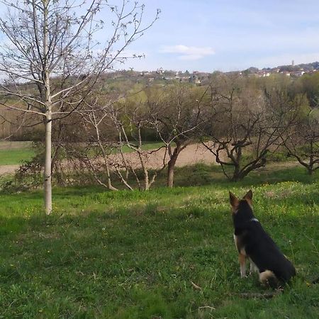 B&B Naturin - Cascina Colombaro Lauriano 외부 사진