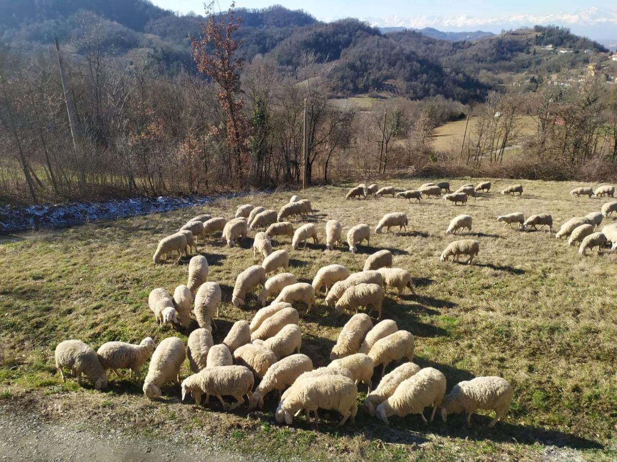 B&B Naturin - Cascina Colombaro Lauriano 외부 사진