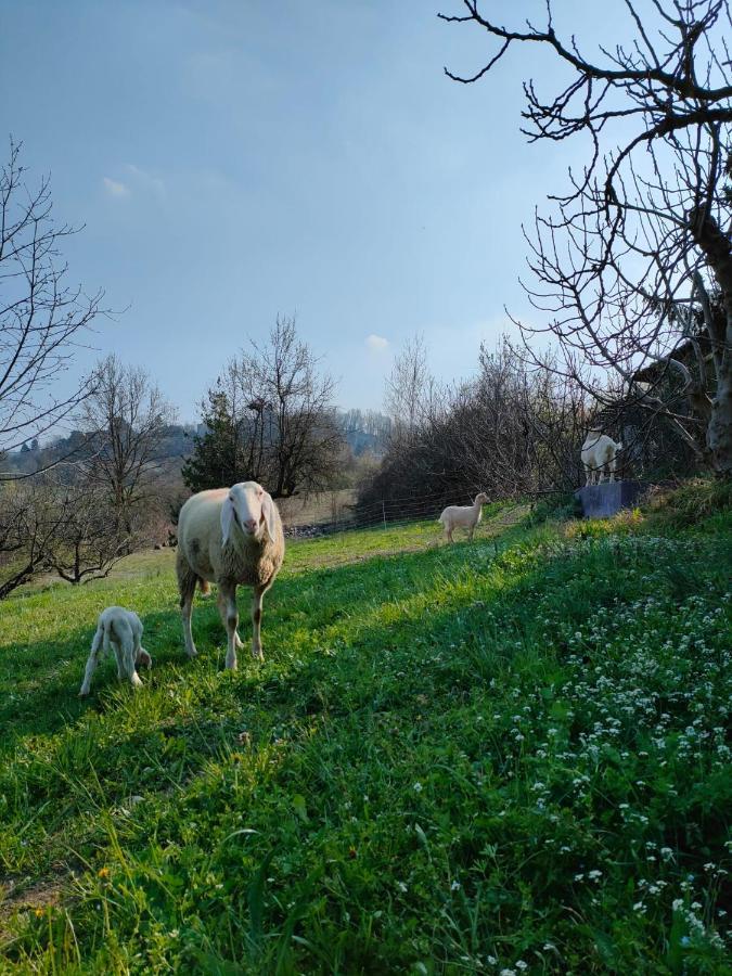 B&B Naturin - Cascina Colombaro Lauriano 외부 사진