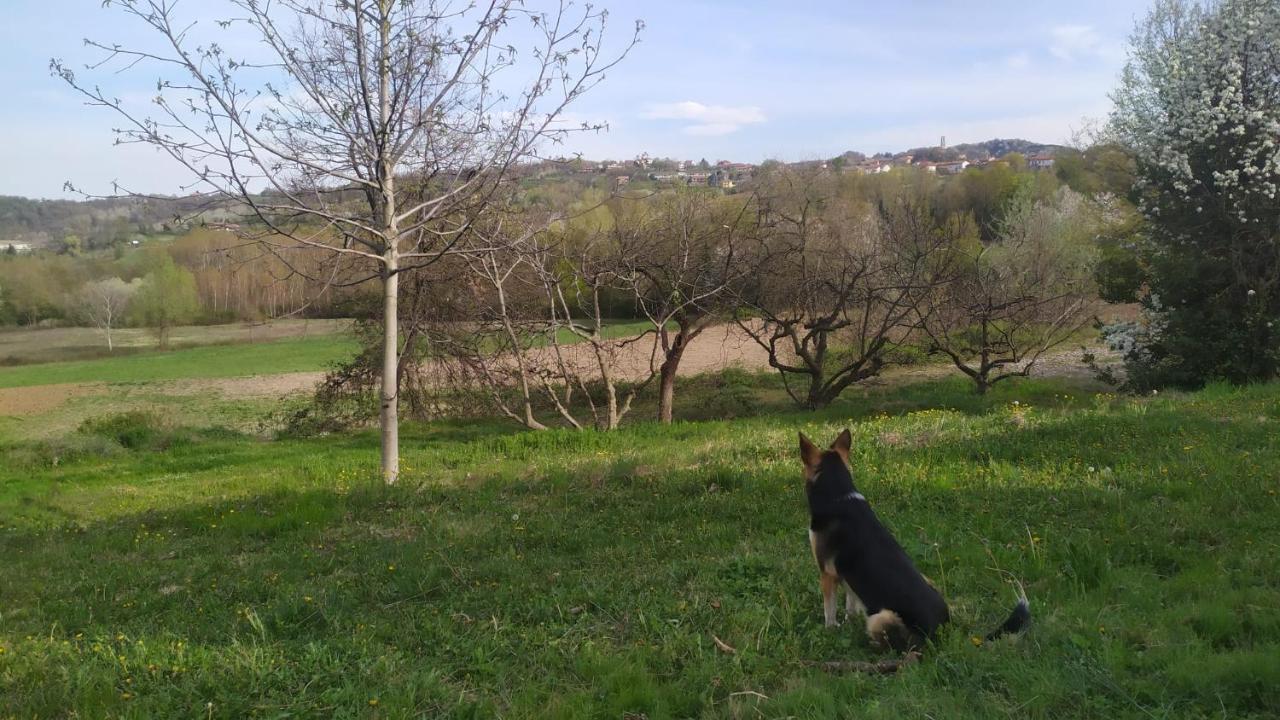 B&B Naturin - Cascina Colombaro Lauriano 외부 사진