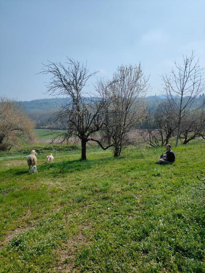 B&B Naturin - Cascina Colombaro Lauriano 외부 사진